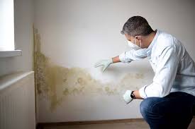 Why You Should Choose Our Mold Remediation Services in Bayshore, NC